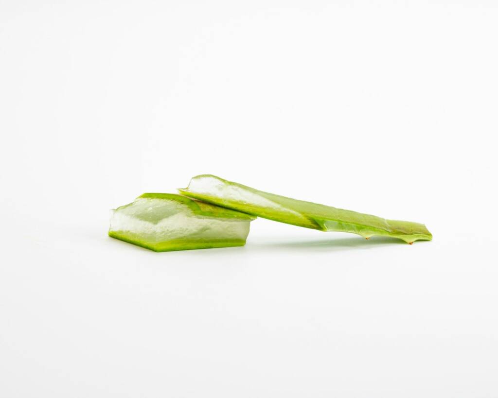 Morceaux de feuille d'aloe vera coupée laissant voir le gel.